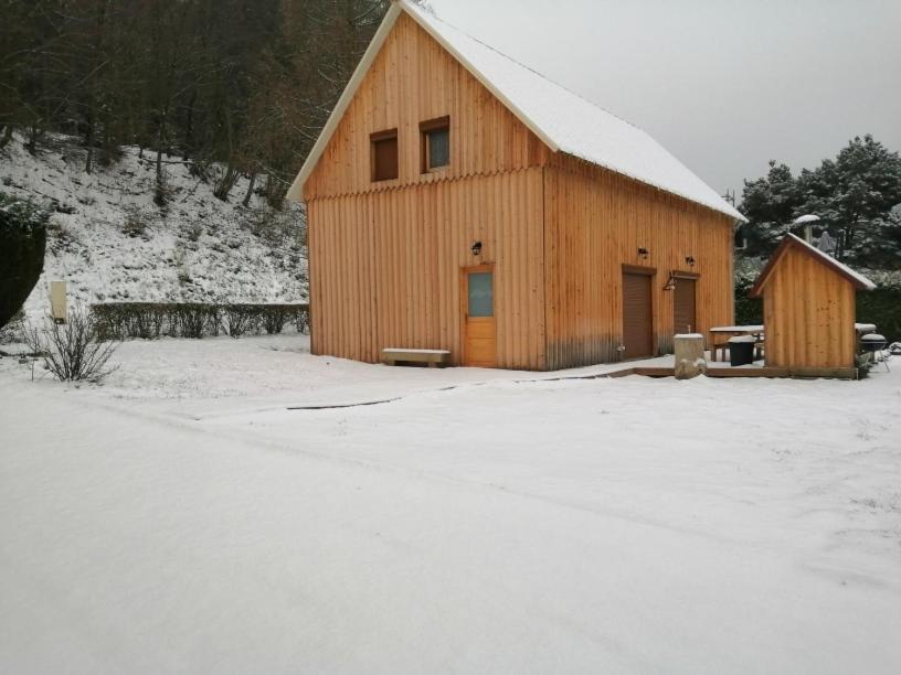 Saint-Quirin La Gambas Des Bois 빌라 외부 사진