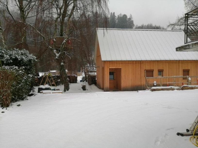 Saint-Quirin La Gambas Des Bois 빌라 외부 사진